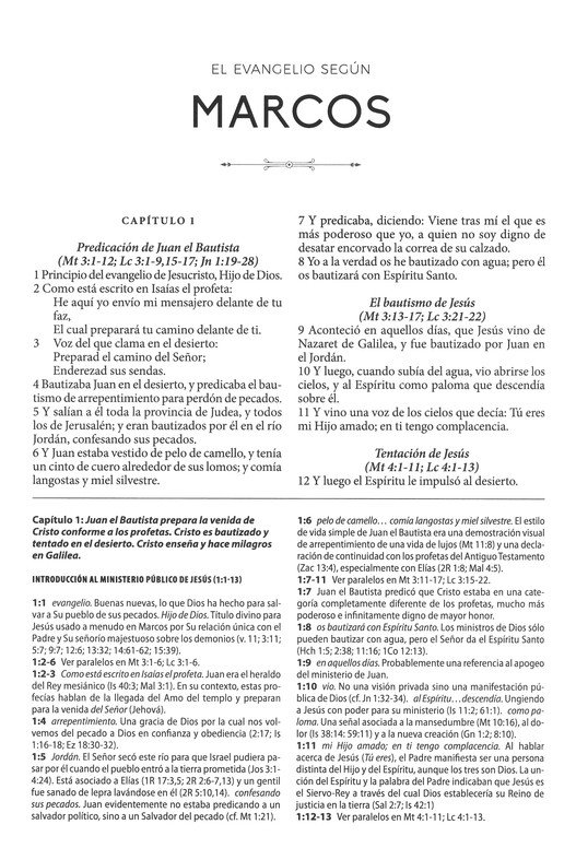 Biblia de Estudio Herencia Reformada Tapa dura 4 Biblia de Estudio Herencia Reformada Tapa dura - Image 4