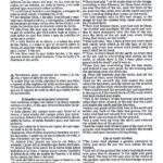 Biblia RVR77 Bilingue-RVR-NKJ Piel Italiana – imagen 4