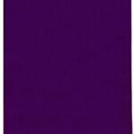 RV60 Biblia Colormax, partido violeta party – imagen 2