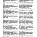 RV60 Biblia Colormax, partido violeta party – imagen 3