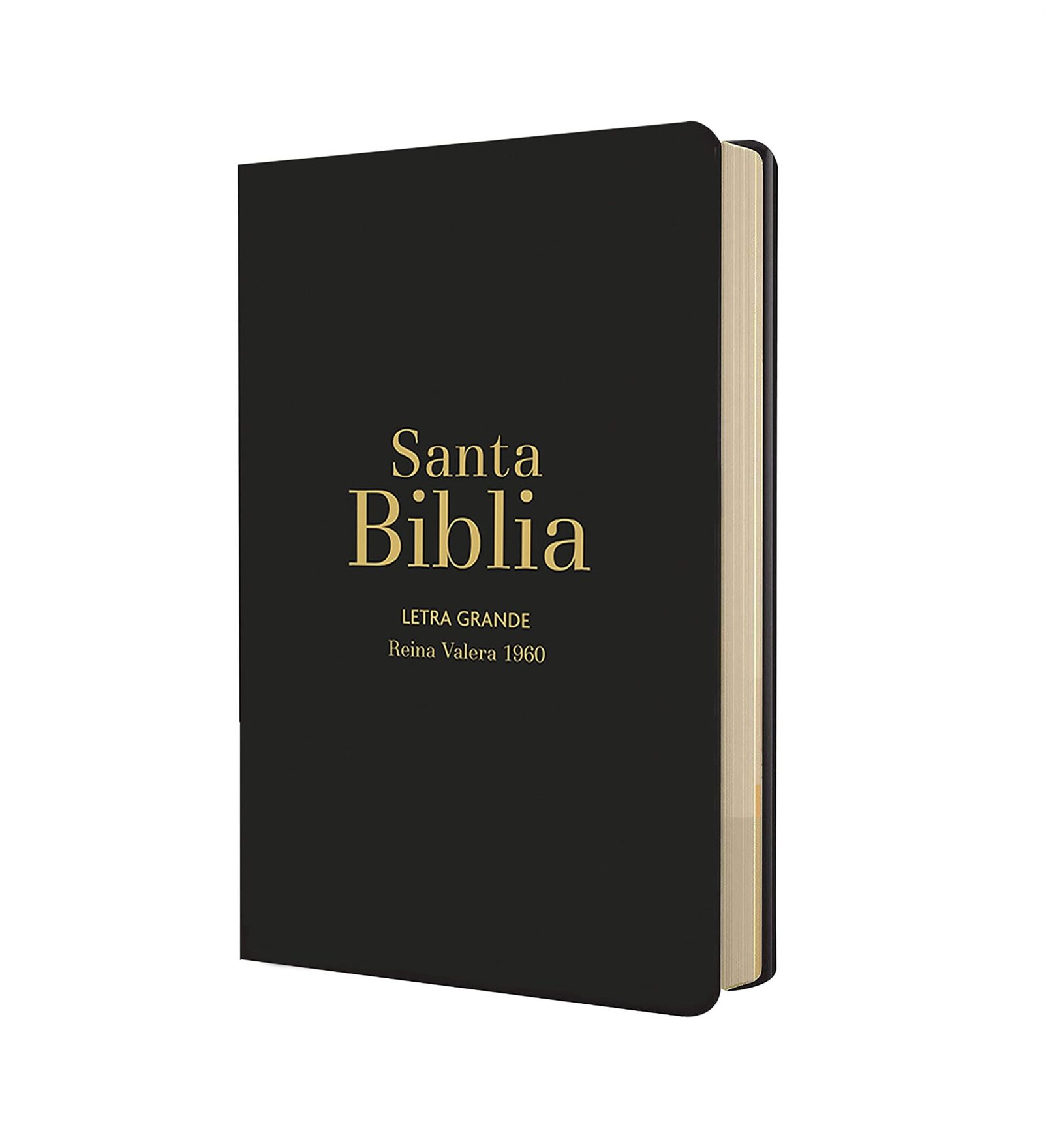Biblia RVR60 Letra Grande/Tamaño manual - Negro Vinilo 2 Biblia RVR60 Letra Grande/Tamaño manual - Negro Vinilo - Image 2