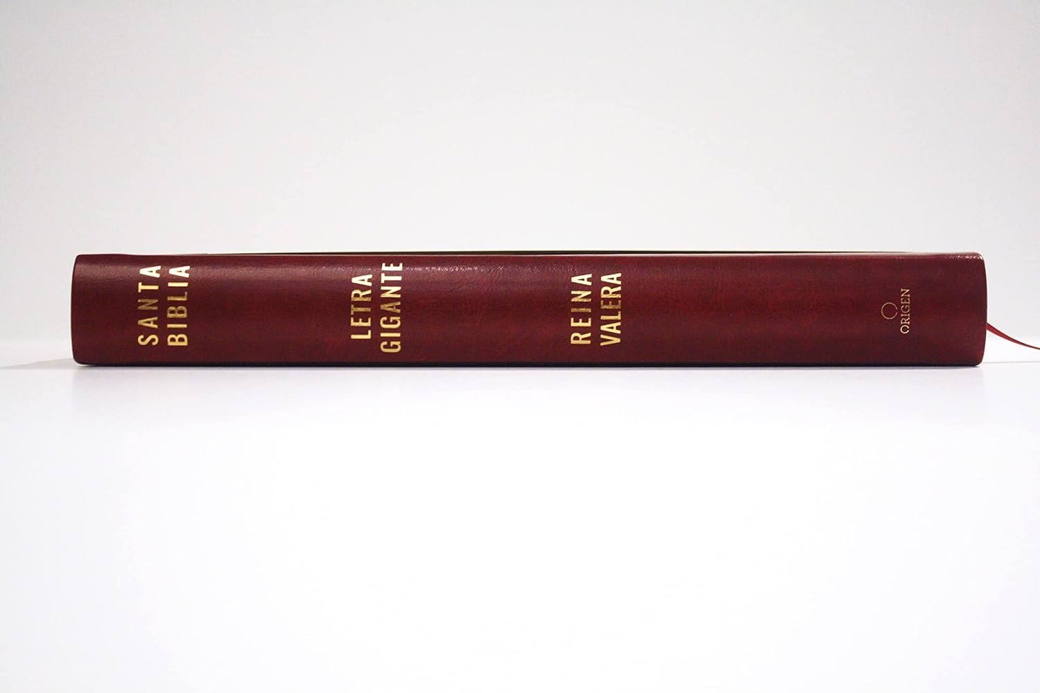 RVR 1909 Letra Súper Gigante 5 RVR 1909 Letra Súper Gigante - Image 5
