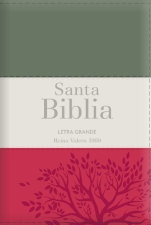 Biblia RVR60 LG Tamaño Manual tricolor con cierre con índice