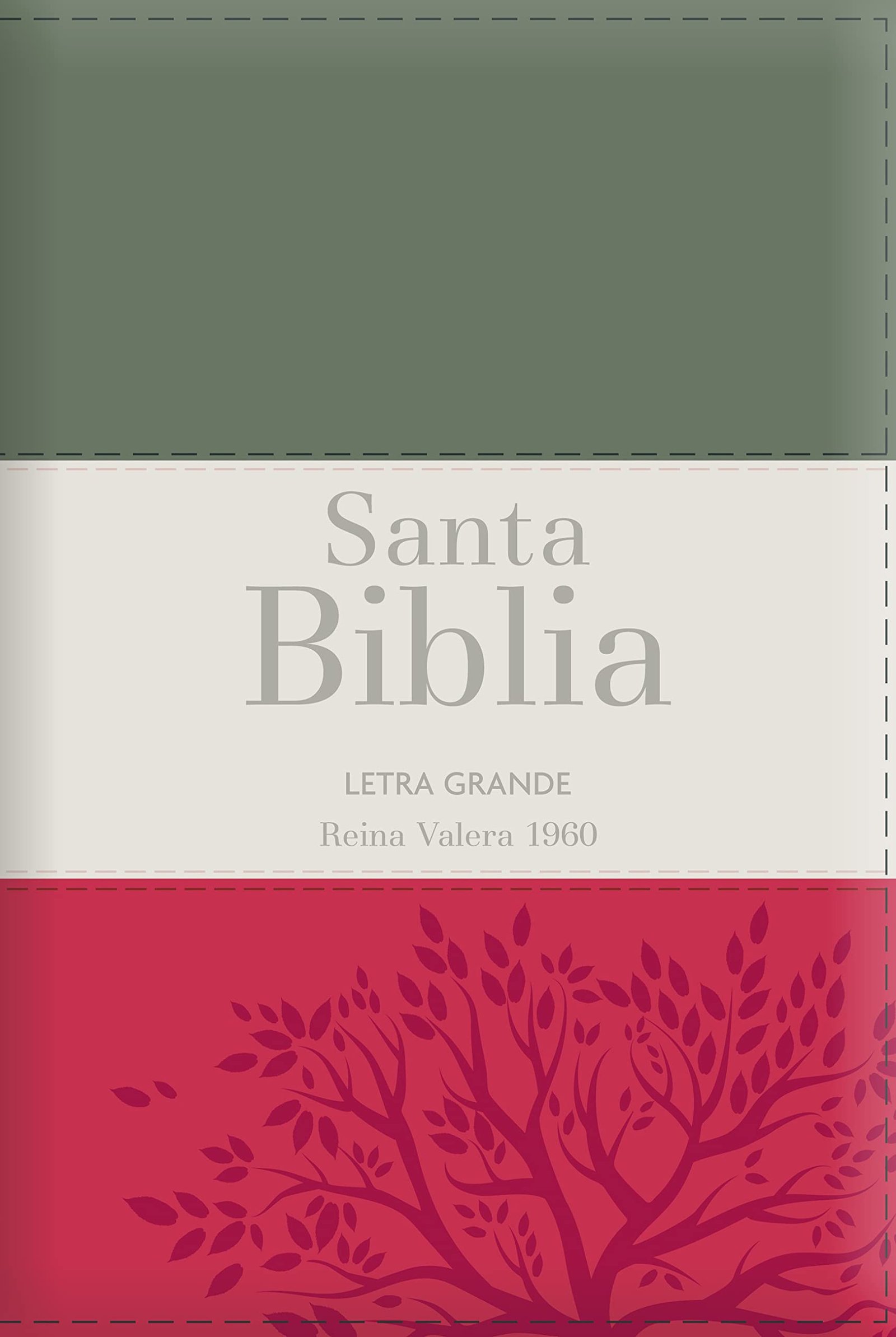 Biblia RVR60 LG Tamaño Manual tricolor con cierre con índice 1 Biblia RVR60 LG Tamaño Manual tricolor con cierre con índice