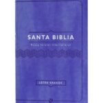 Biblia NVI 060cLG/Lila/Letra 11 PT