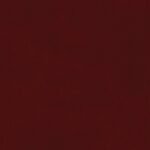 Biblia NTV/Edicion Clasica/Sentipiel/Vino Tinto – imagen 2
