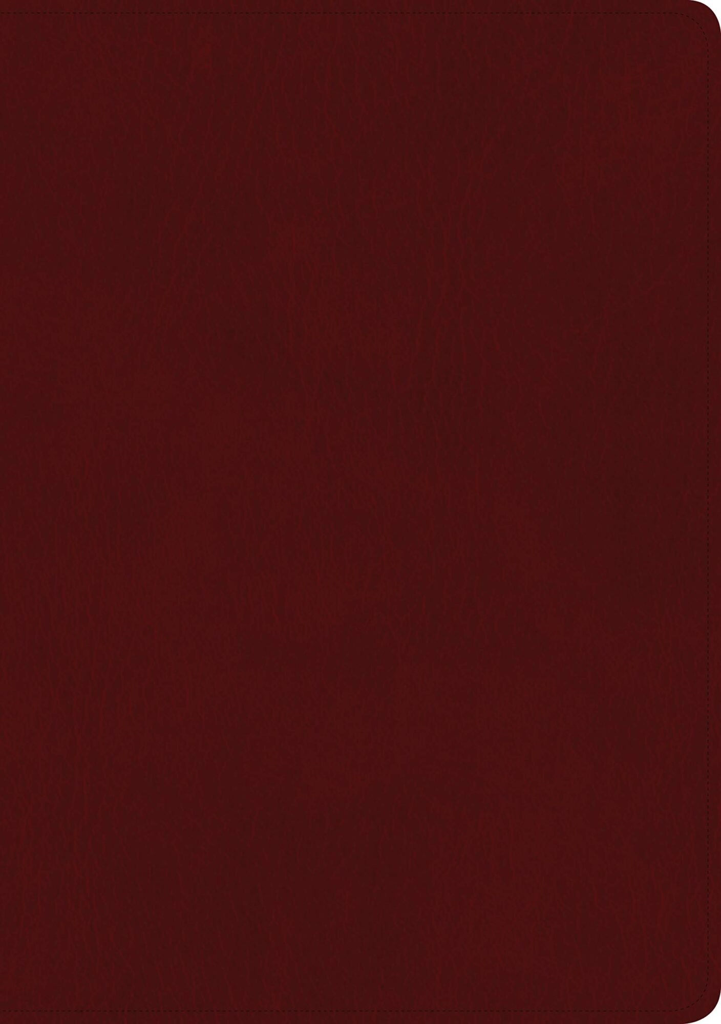 Biblia NTV/Edicion Clasica/Sentipiel/Vino Tinto 2 Biblia NTV/Edicion Clasica/Sentipiel/Vino Tinto - Image 2