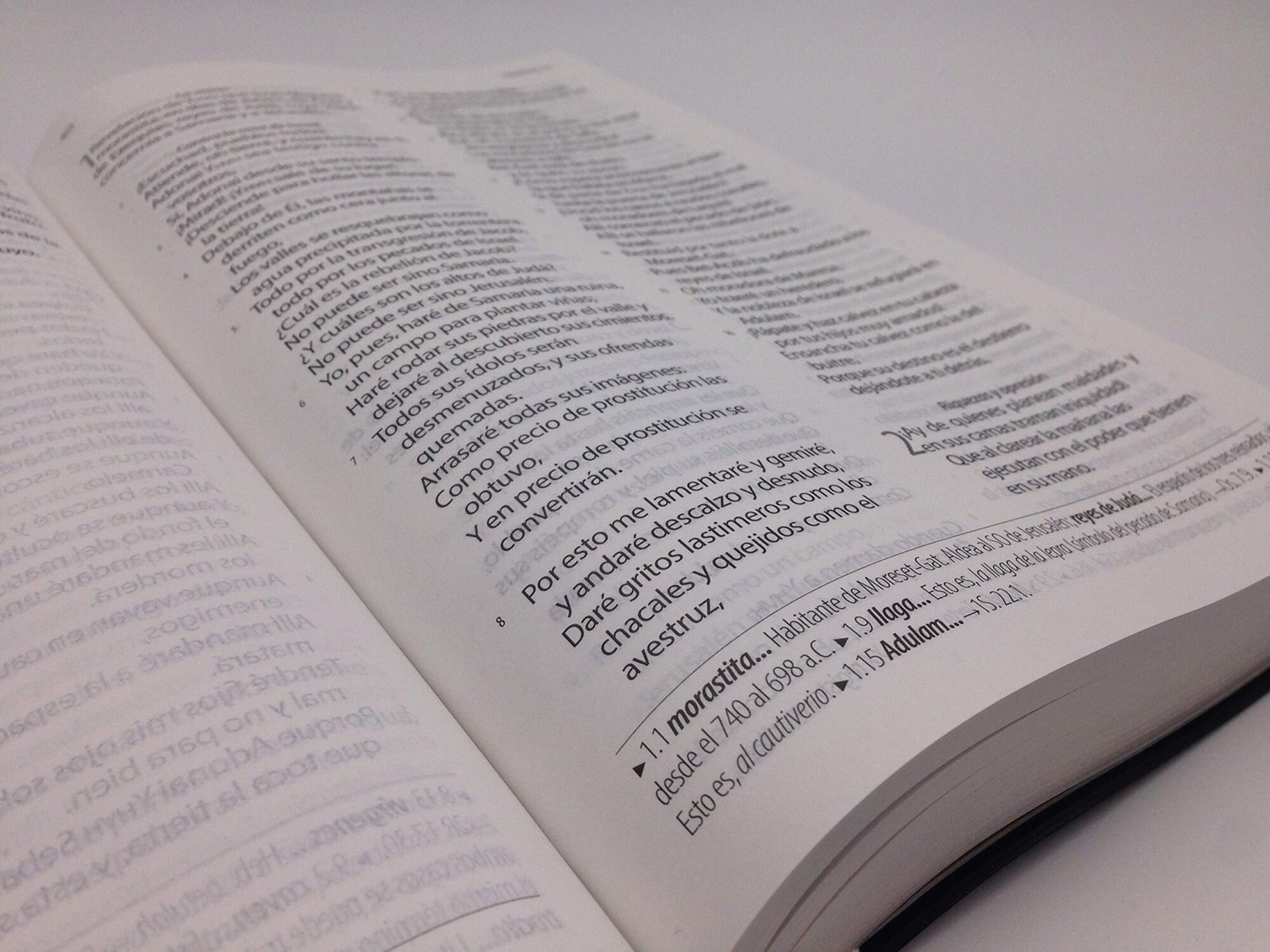 Biblia Textual IV 2 Biblia Textual IV - Image 2