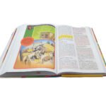 Biblia 1960 Para Niños Exploradores/ Multicolor Tapa Dura – imagen 3
