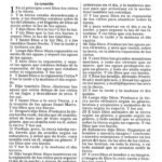 RV60 Biblia compacta con cierre Leopardo símil piel – imagen 3