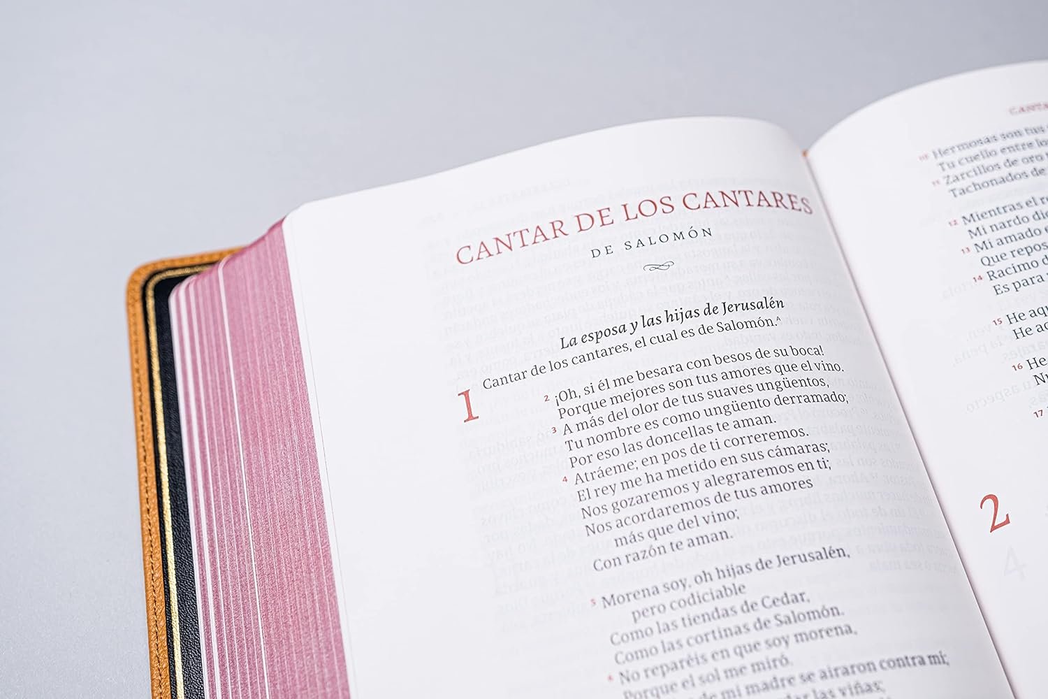 Biblia RVR60 Deluxe Piel Genuina Caramelo 2 Biblia RVR60 Deluxe Piel Genuina Caramelo - Image 2
