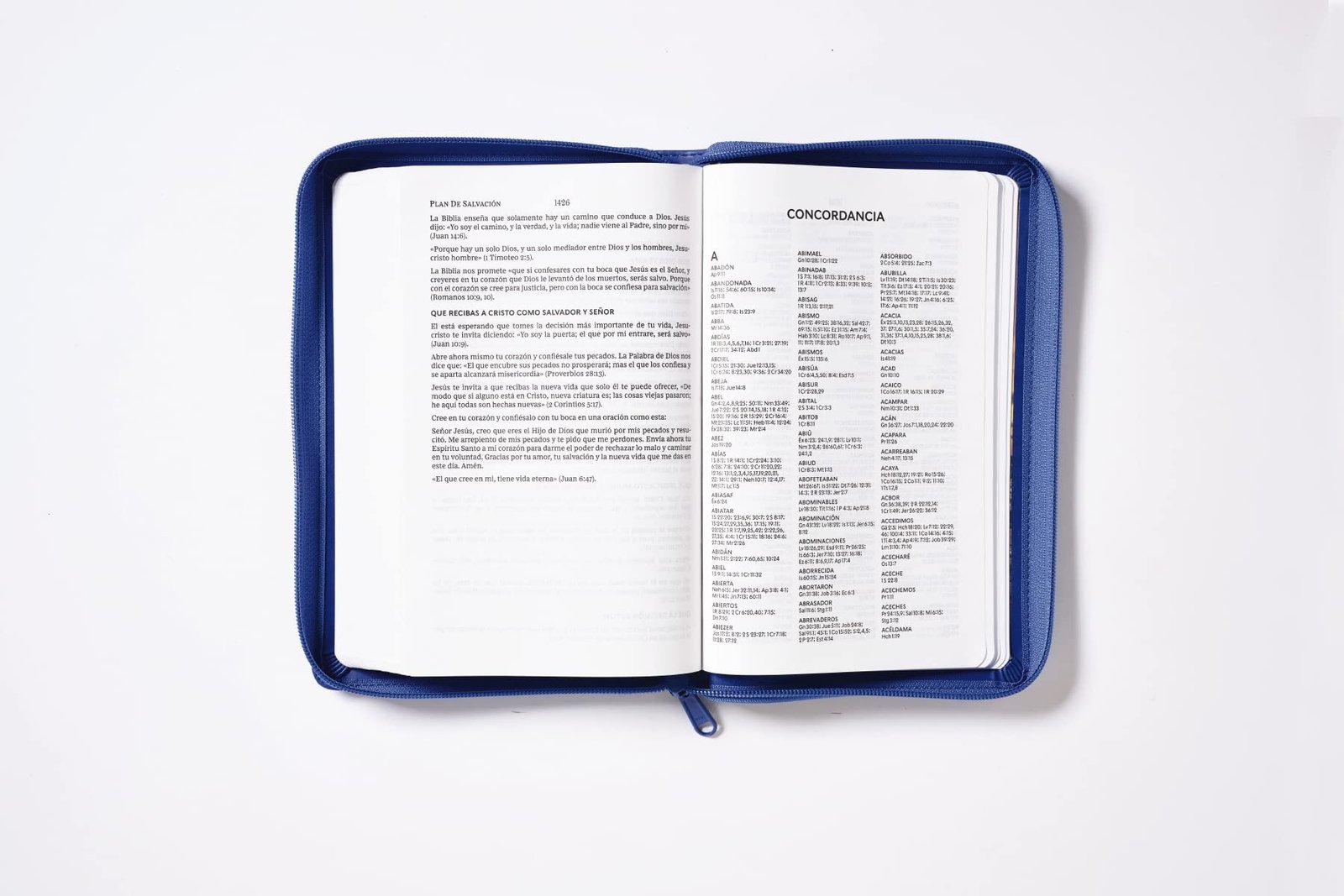 Biblia RVR60 Ultrafina LG Símil Piel con Cierre 9 Biblia RVR60 Ultrafina LG Símil Piel con Cierre - Image 9