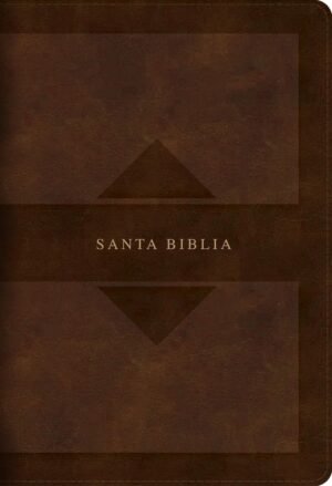 RVR 1960 Letra Grande Tamaño Manual Tierra Santa