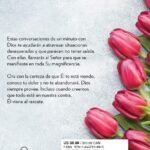 Oraciones de un minuto para cuando necesitas un milagro – imagen 5