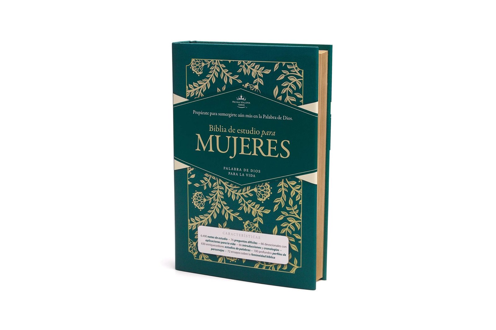 RVR 1960 Biblia de estudio para mujeres, tela verde 2 RVR 1960 Biblia de estudio para mujeres, tela verde - Image 2