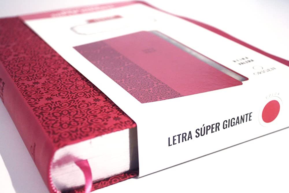 Biblia RVR 1909/Letra Super Gigante/Imitación Piel/Fucsia 3 Biblia RVR 1909/Letra Super Gigante/Imitación Piel/Fucsia - Image 3