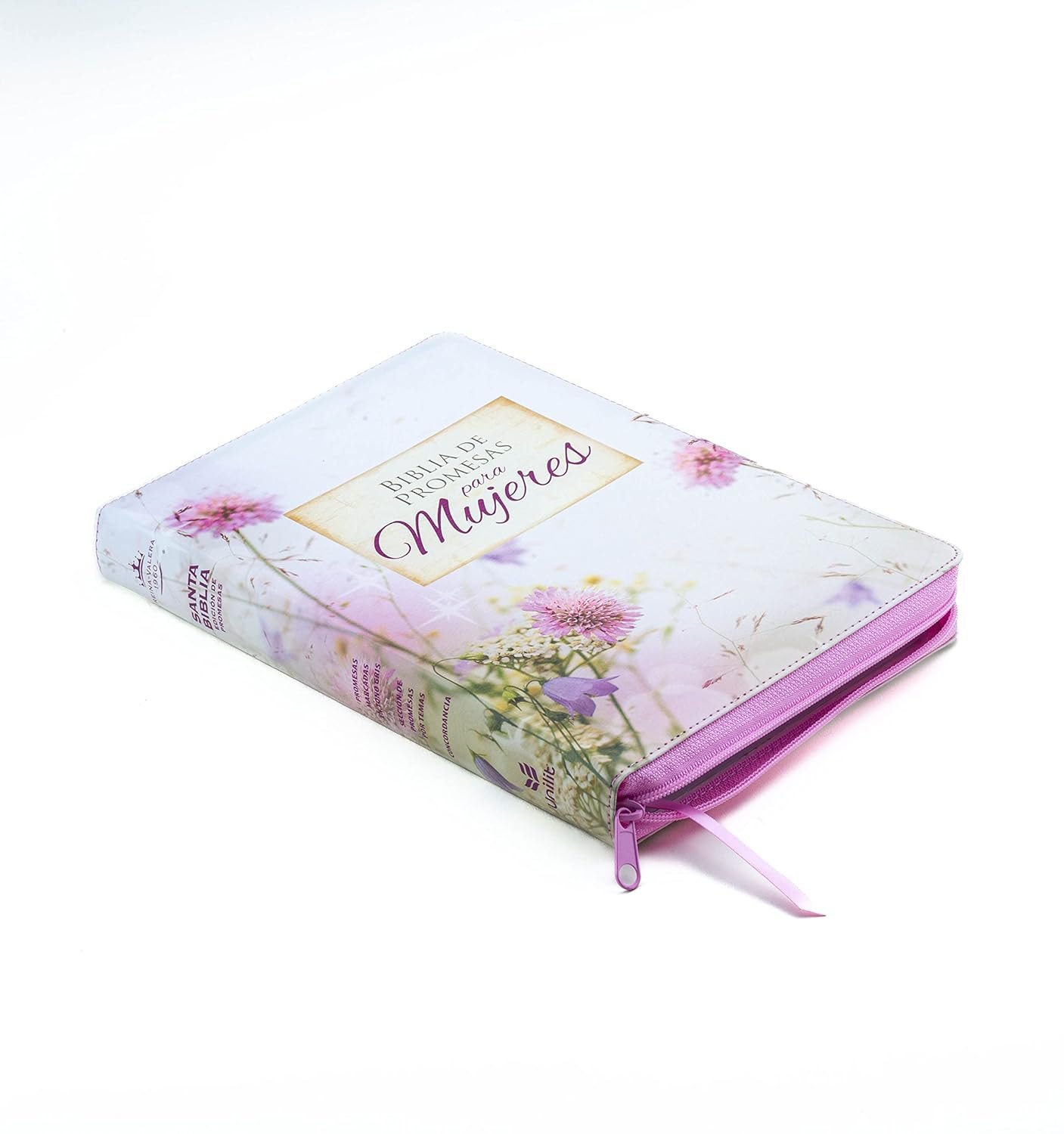 Biblia Promesas RV60 / Letra Gigante / Especial 4 Biblia Promesas RV60 / Letra Gigante / Especial - Image 4