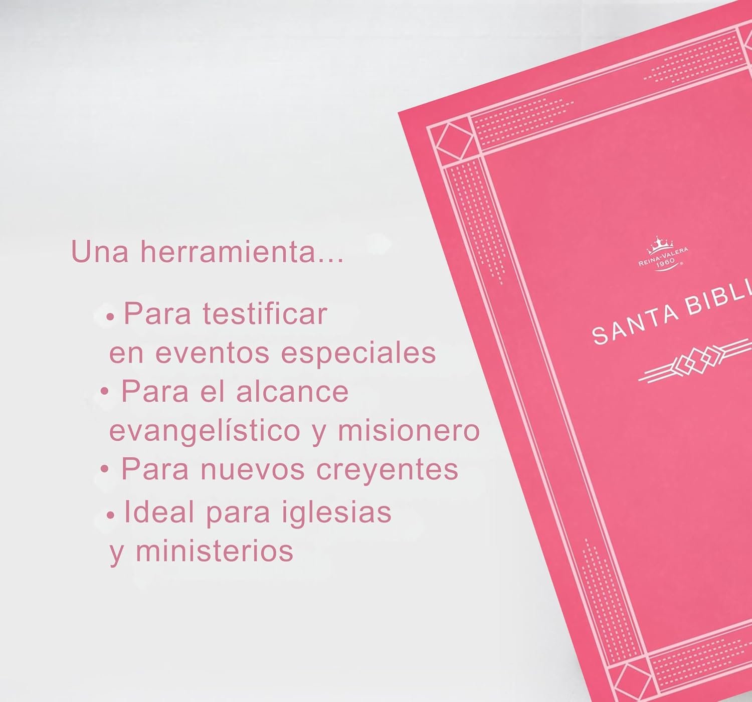 Biblia económica de evangelismo, rosa tapa rústica - RVR 1960 2 Biblia económica de evangelismo, rosa tapa rústica - RVR 1960 - Image 2