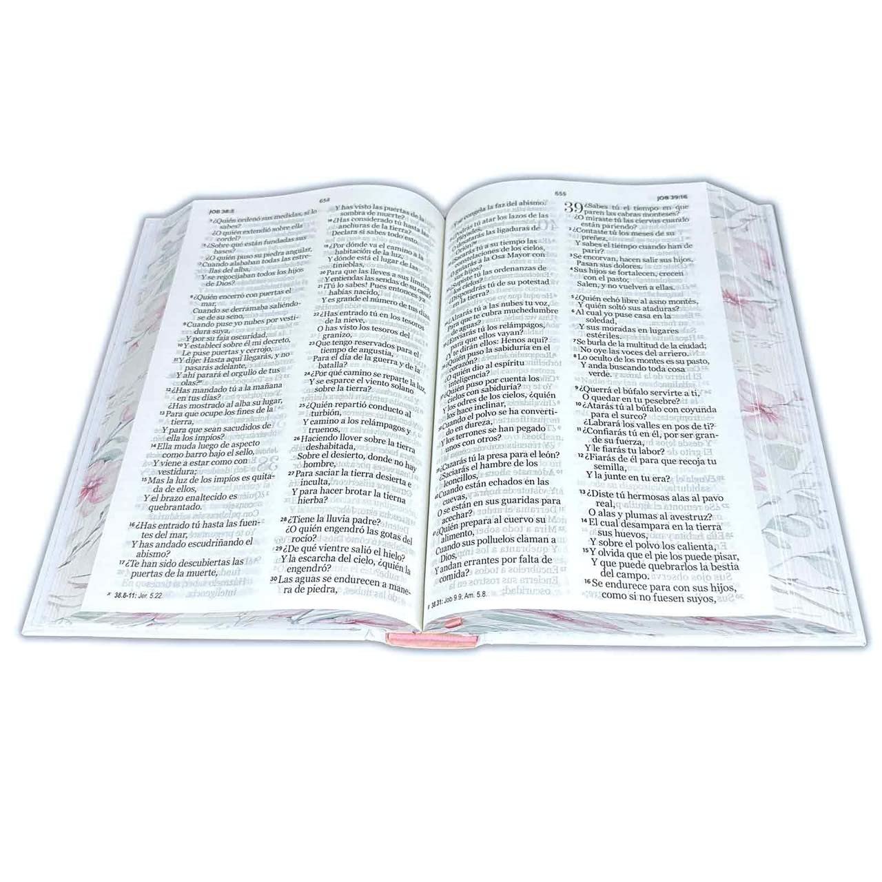 Biblia RVR 1960 Letra Grande 3 Biblia RVR 1960 Letra Grande - Image 3