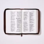 Biblia RVR60/ Tierra Santa/ Ultrafina letra grande – imagen 6