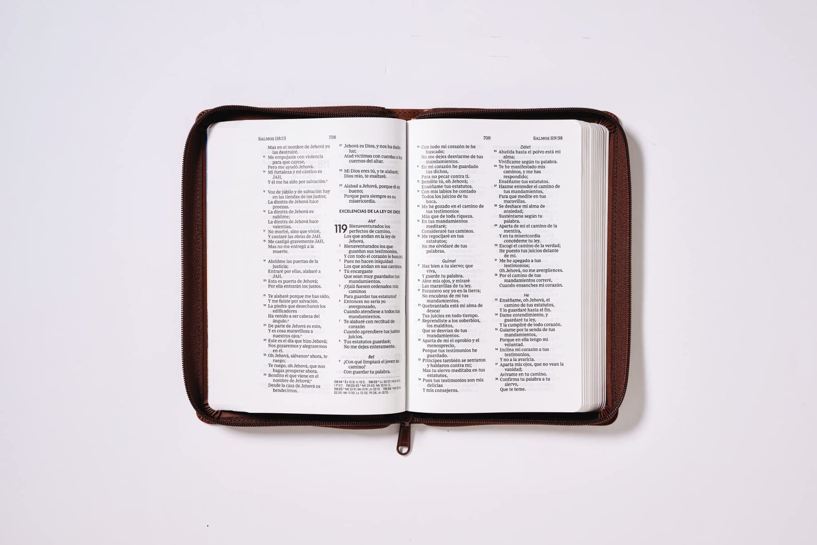 Biblia RVR60/ Tierra Santa/ Ultrafina letra grande 6 Biblia RVR60/ Tierra Santa/ Ultrafina letra grande - Image 6
