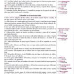 Biblia de Estudio Thompson RVR 1960 para Mujer – Rosada – imagen 10