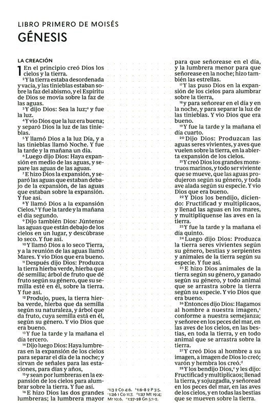 RVR60 Santa Biblia edición notas LS 4 RVR60 Santa Biblia edición notas LS - Image 4