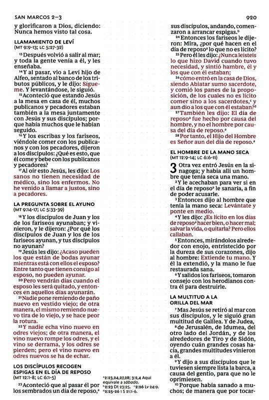 RVR60 Santa Biblia edición notas LS 5 RVR60 Santa Biblia edición notas LS - Image 5