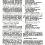 NBLA Biblias Letra Grande Rustica – imagen 2