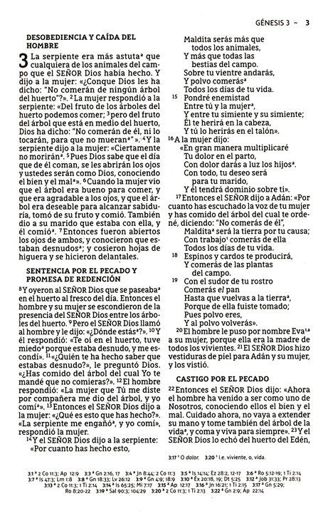 NBLA Biblias Letra Grande Rustica 2 NBLA Biblias Letra Grande Rustica - Image 2