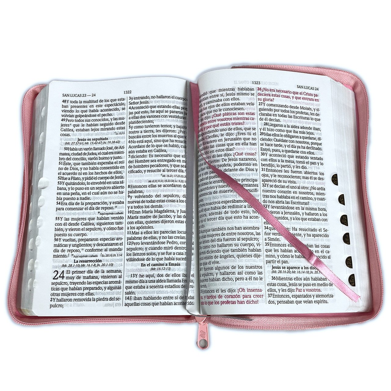 Biblia RVR60 LG imitación cuero rosa con índice 3 Biblia RVR60 LG imitación cuero rosa con índice - Image 3