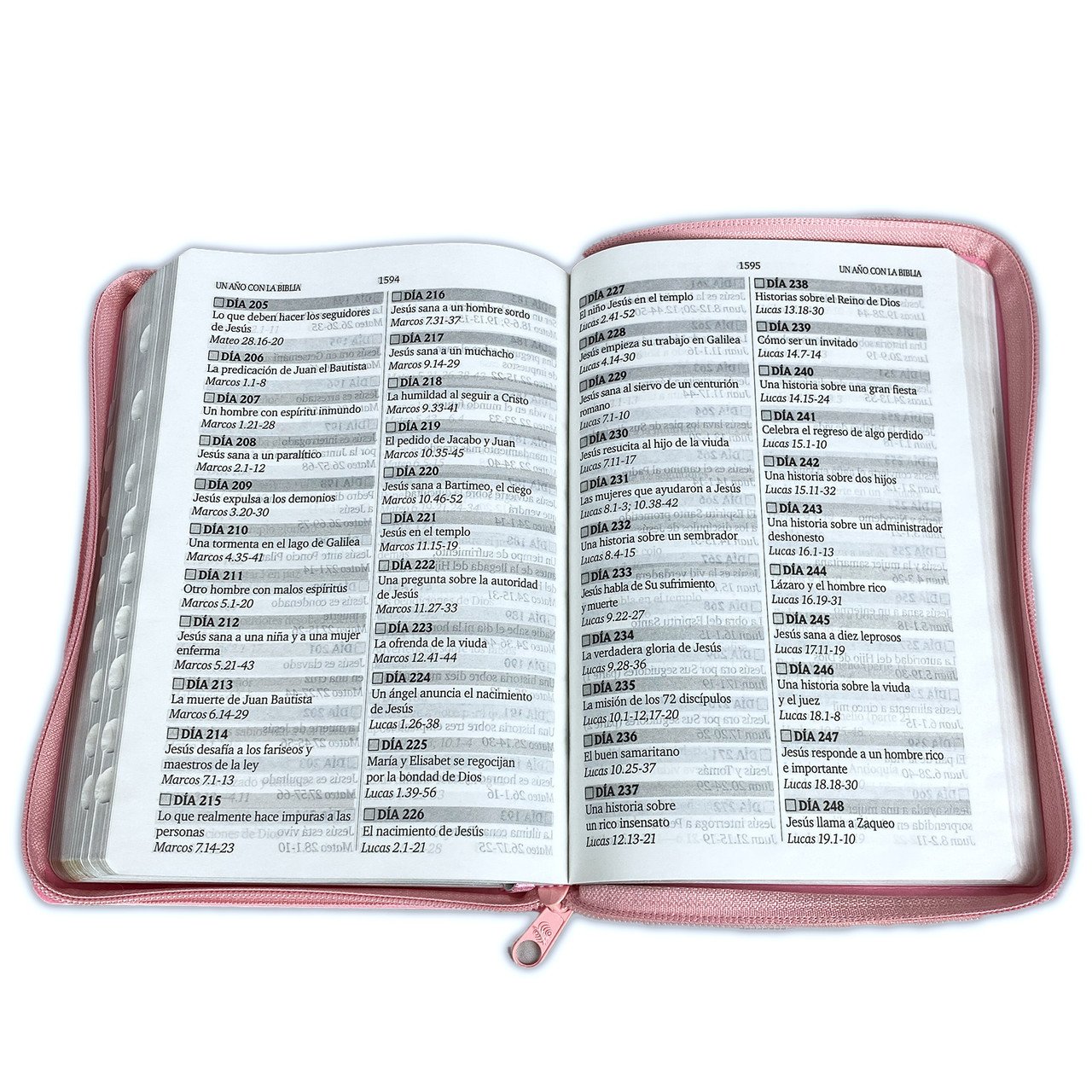 Biblia RVR60 LG imitación cuero rosa con índice 5 Biblia RVR60 LG imitación cuero rosa con índice - Image 5