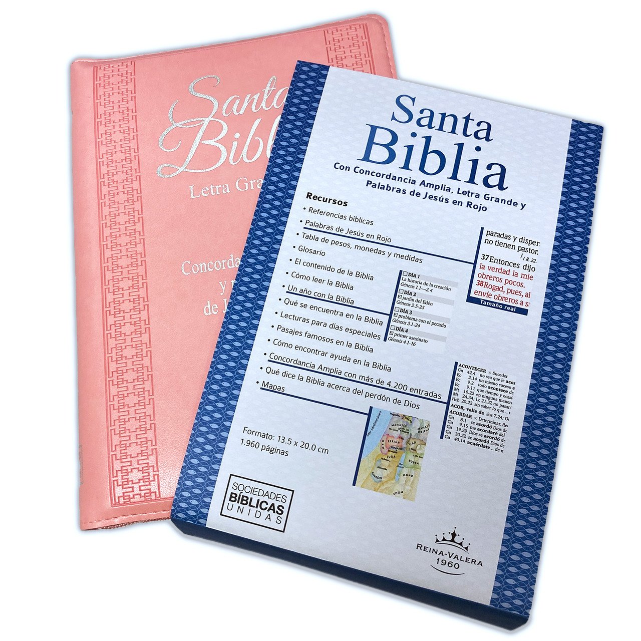 Biblia RVR60 LG imitación cuero rosa con índice 6 Biblia RVR60 LG imitación cuero rosa con índice - Image 6
