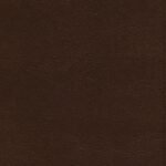 RVR 1977 Referencia Thompson Piel Café