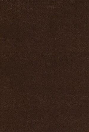 RVR 1977 Referencia Thompson Piel Café