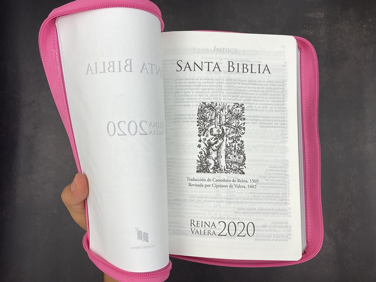Biblia LG 12 puntos RV2020 imit. piel rosado 9 Biblia LG 12 puntos RV2020 imit. piel rosado - Image 9