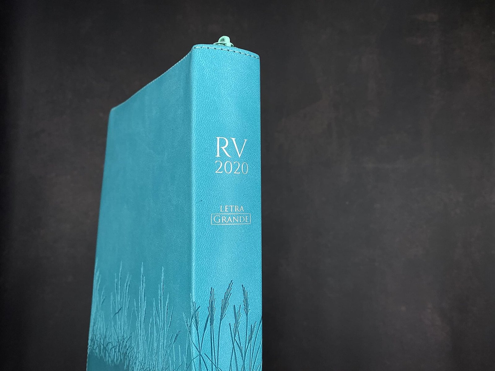 Biblia RVR 2020 LG Imitación Piel Turquesa con Cierre 3 Biblia RVR 2020 LG Imitación Piel Turquesa con Cierre - Image 3