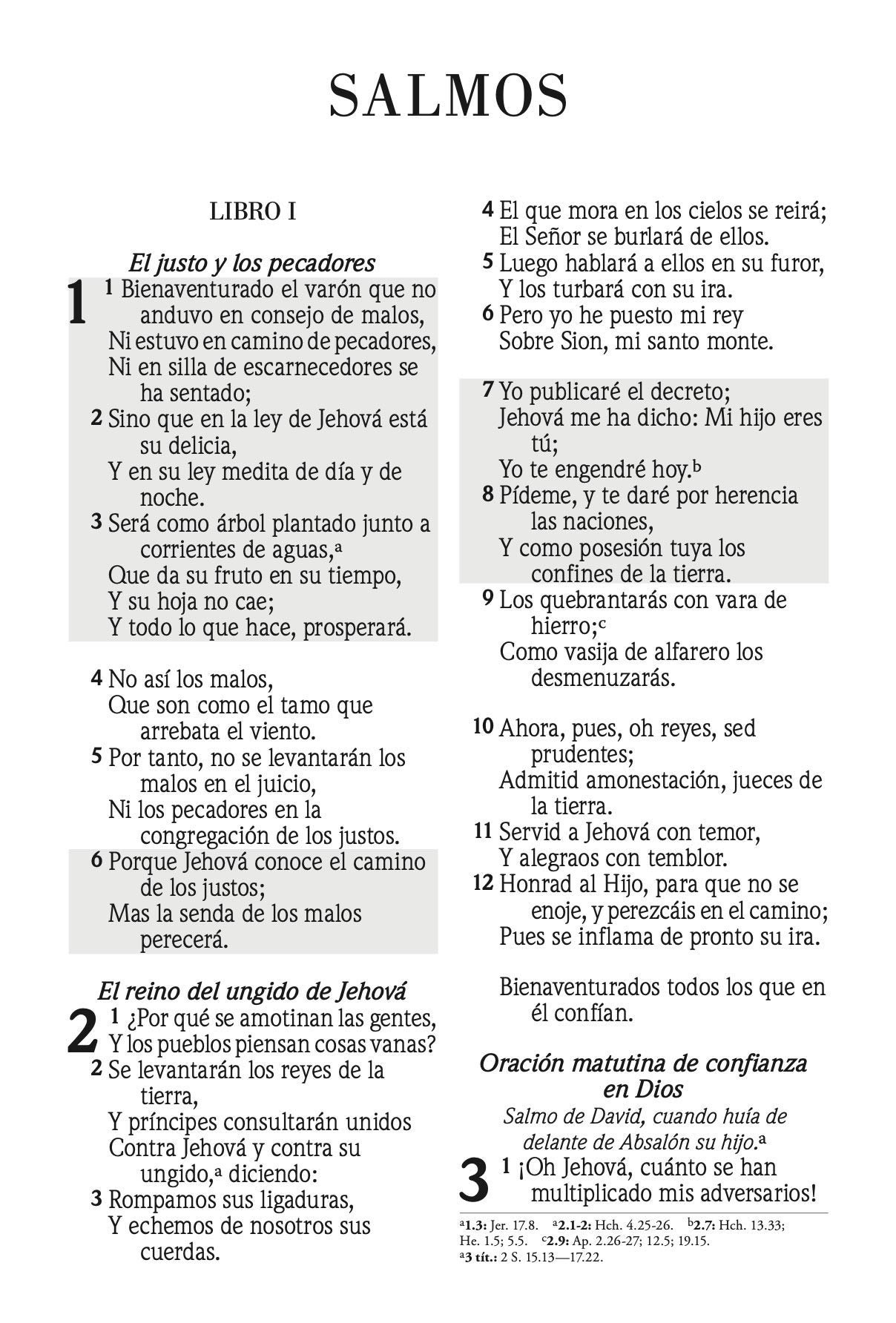 Biblia De Promesa RVR60/Tamaño Manual/Piel Especial/Negro 3 Biblia De Promesa RVR60/Tamaño Manual/Piel Especial/Negro - Image 3