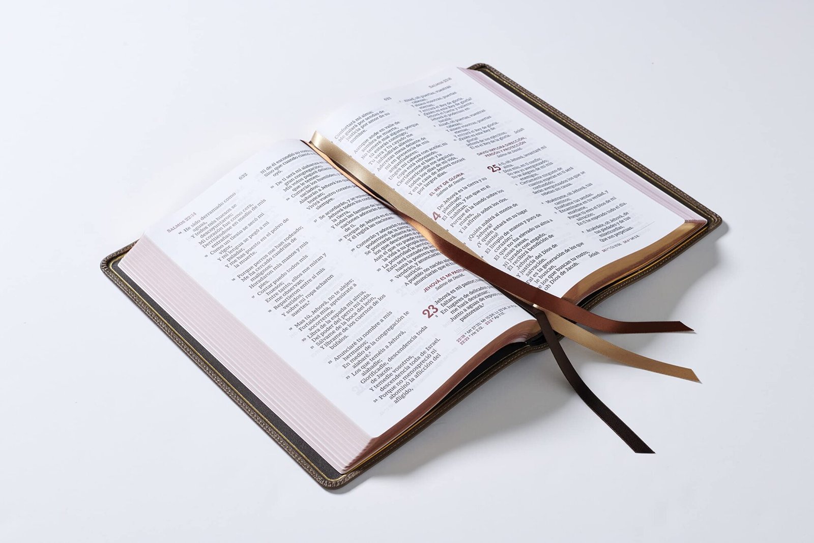 Biblia/RVR60/Coleccion Premier/Letra Gigante/Cafe 2 Biblia/RVR60/Coleccion Premier/Letra Gigante/Cafe - Image 2