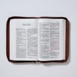 Biblia RVR60/ Tierra Santa/ Ultrafina letra grande – imagen 7