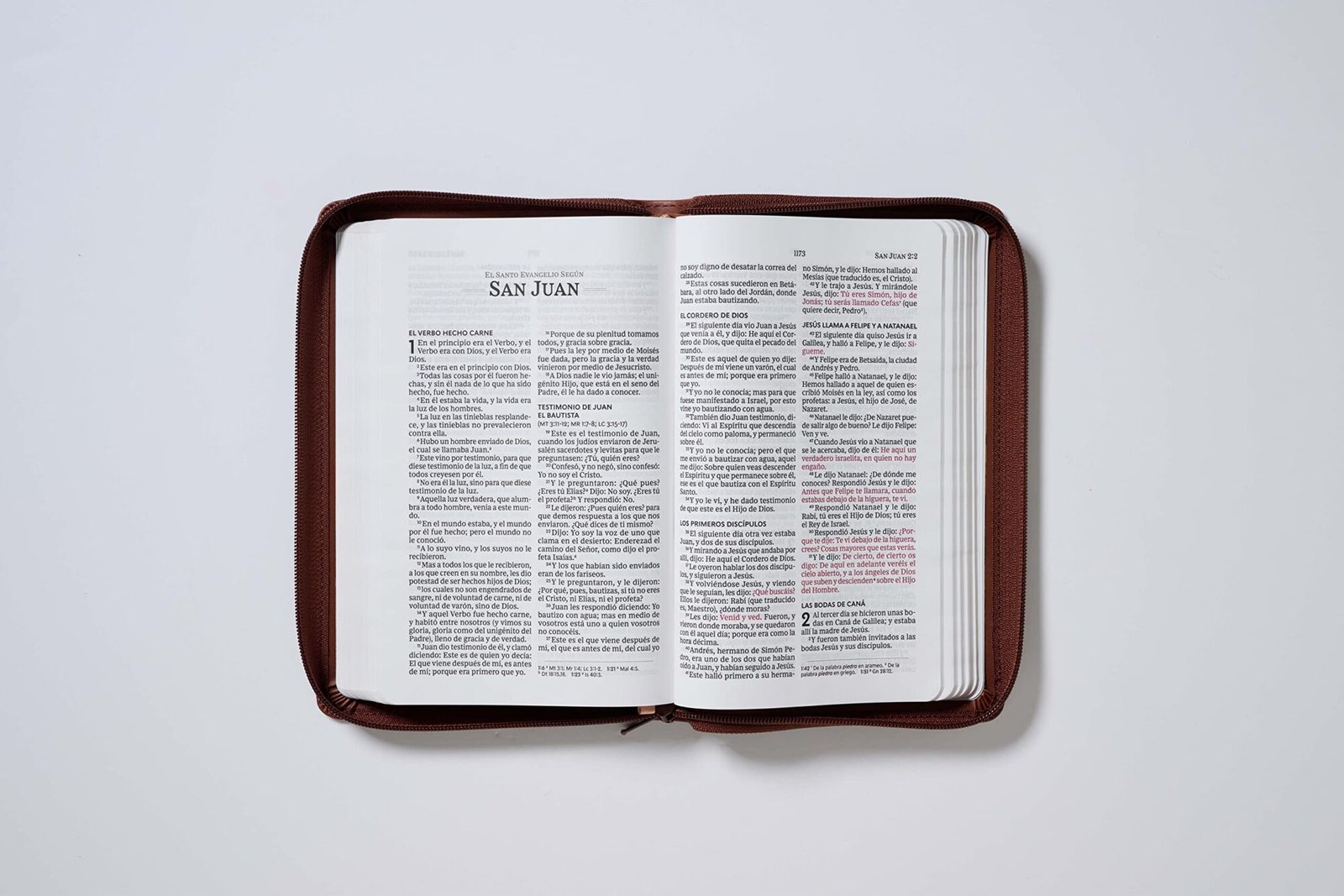 Biblia RVR60/ Tierra Santa/ Ultrafina letra grande 7 Biblia RVR60/ Tierra Santa/ Ultrafina letra grande - Image 7
