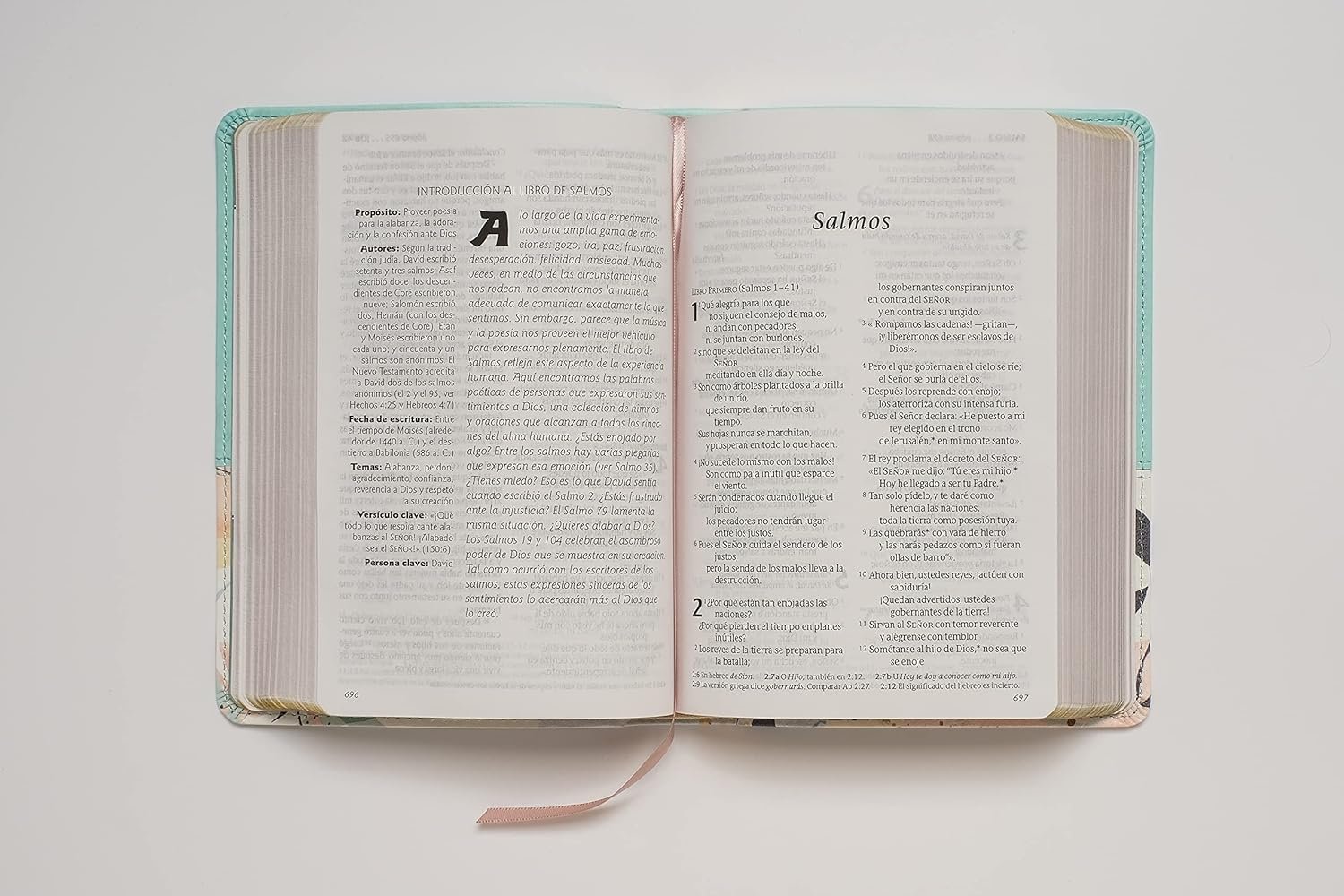 Biblia NTV Compacta Menta Símil Piel 3 Biblia NTV Compacta Menta Símil Piel - Image 3