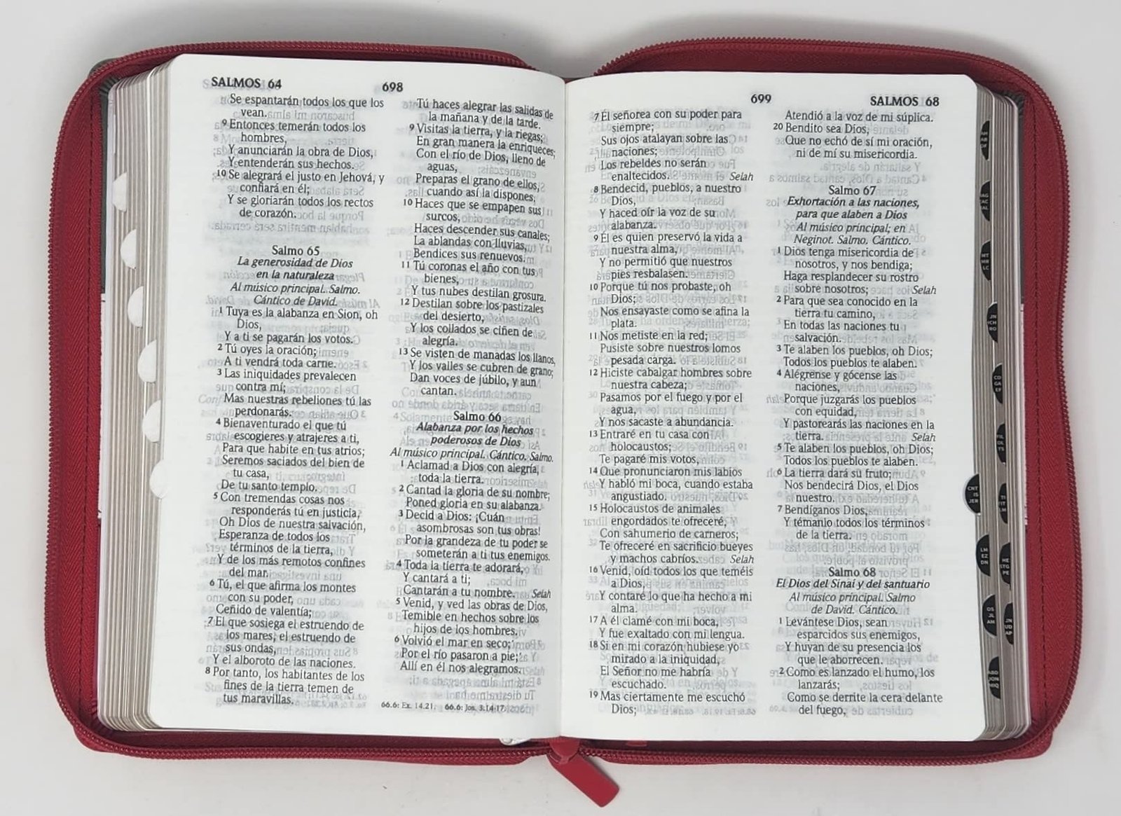 Biblia RVR60 LG Tamaño Manual tricolor con cierre con índice 5 Biblia RVR60 LG Tamaño Manual tricolor con cierre con índice - Image 5