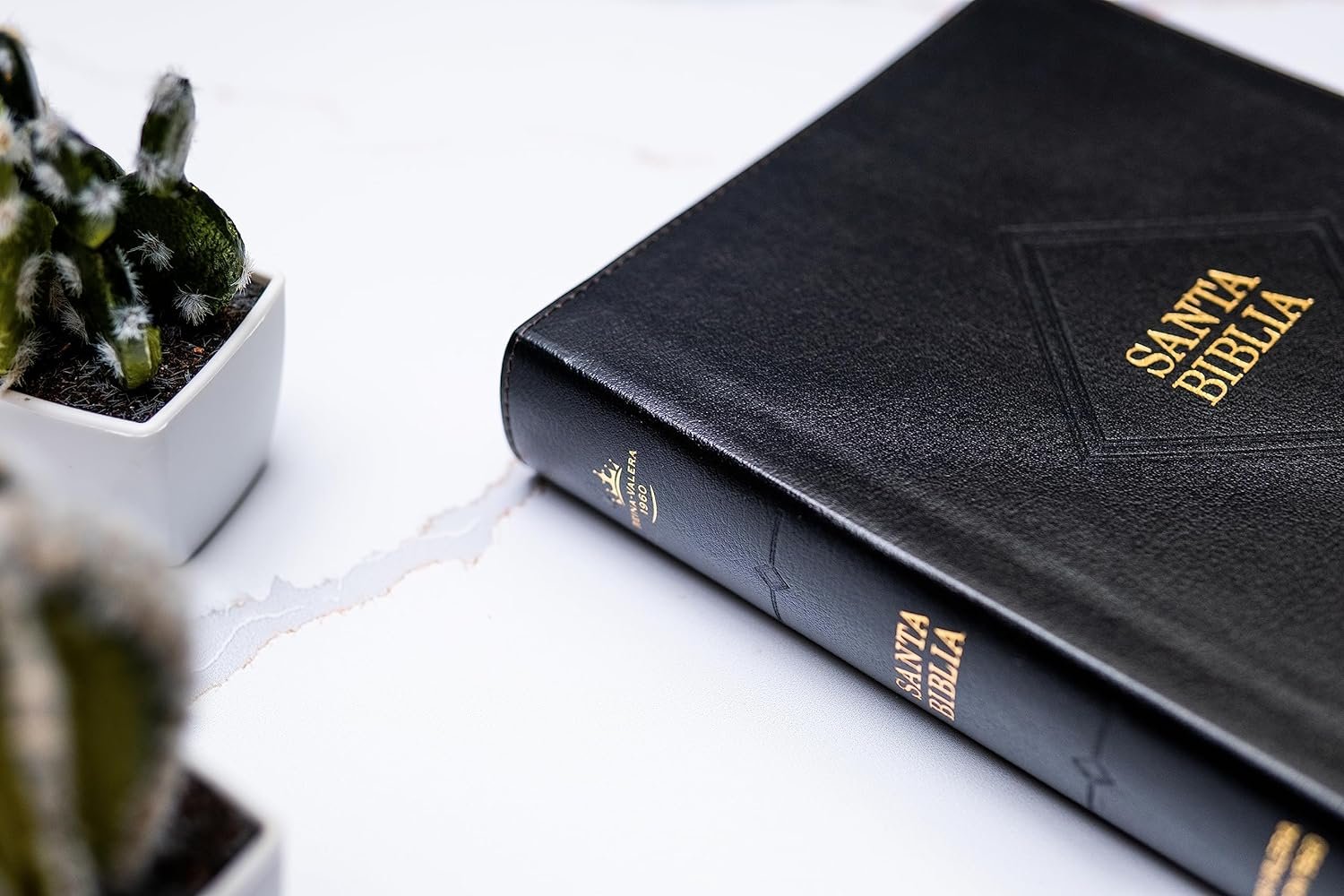 Biblia RVR 1960 Letra Supergigante Edición 2023, negro piel fabricada 2 Biblia RVR 1960 Letra Supergigante Edición 2023, negro piel fabricada - Image 2