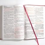 Biblia RVR 1909/Letra Super Gigante/Imitación Piel/Fucsia