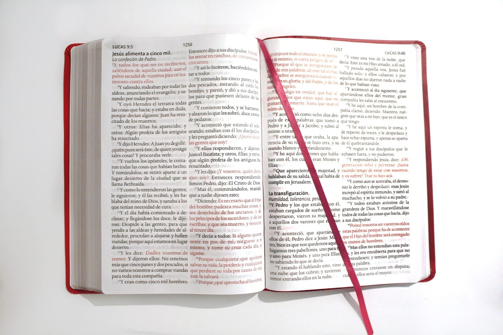 Biblia RVR 1909/Letra Super Gigante/Imitación Piel/Fucsia 2 Biblia RVR 1909/Letra Super Gigante/Imitación Piel/Fucsia - Image 2