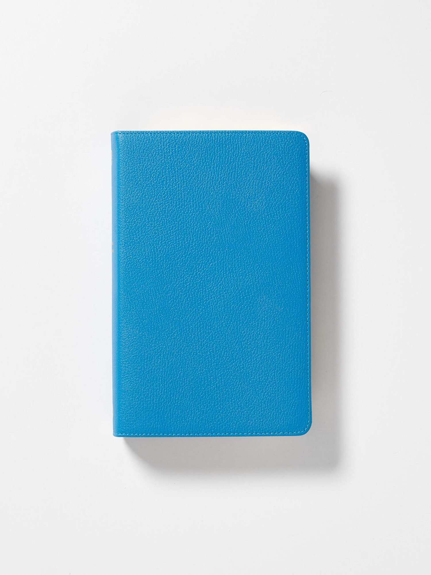 NBLA Biblia Ultrafina Azul; Letra Grande, Colección Premier: Edición Limitada 2 NBLA Biblia Ultrafina Azul; Letra Grande, Colección Premier: Edición Limitada - Image 2