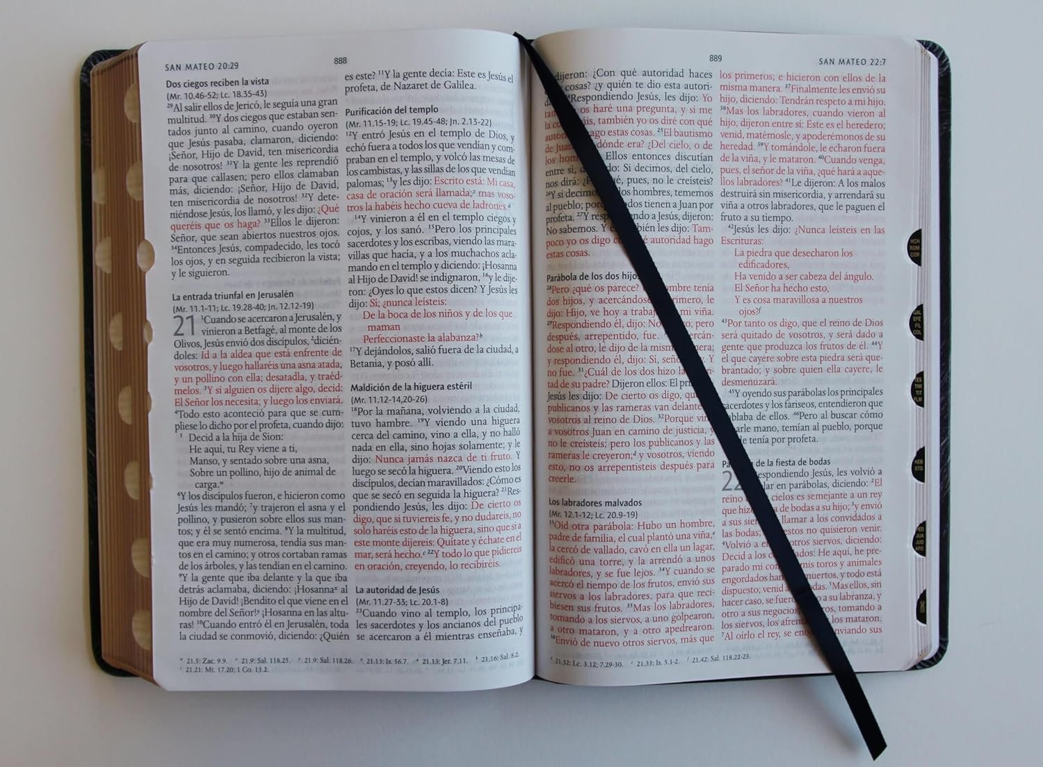 Biblia RV60 Letra Grande León/Símil Piel Índice 4 Biblia RV60 Letra Grande León/Símil Piel Índice - Image 4