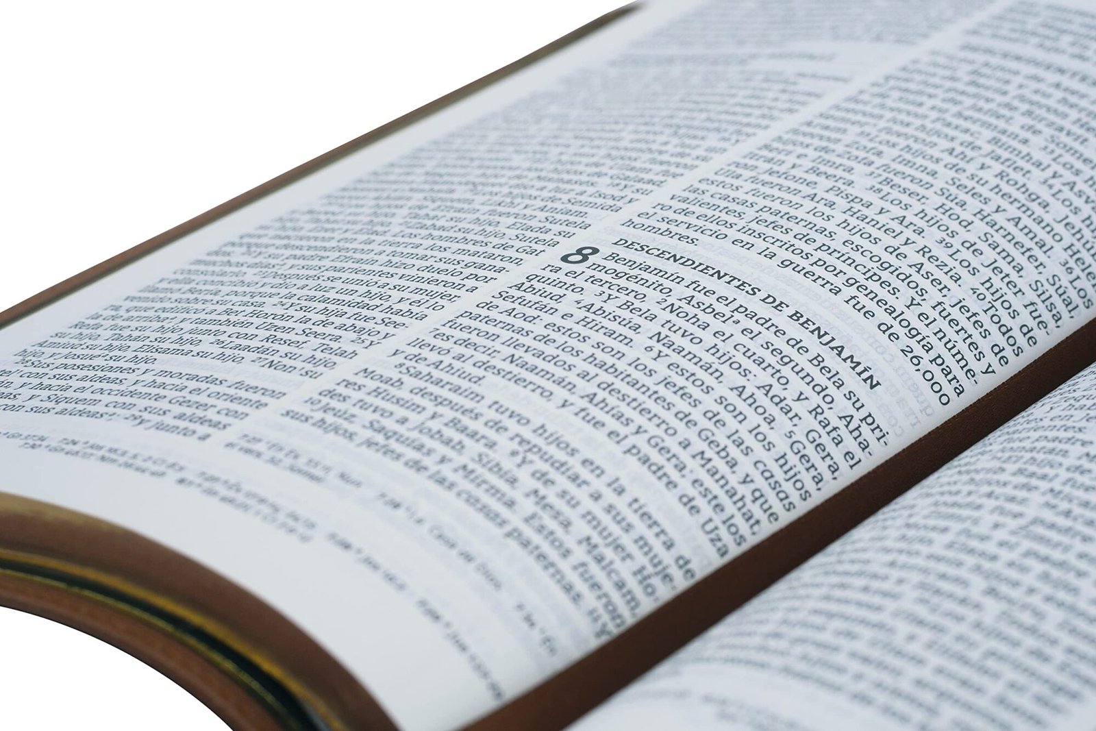 NBLA Biblia Ultrafina: Café, Letra Grande, Colección Premier, Edición Limitada 3 NBLA Biblia Ultrafina: Café, Letra Grande, Colección Premier, Edición Limitada - Image 3