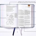 NBLA Estudio Piel Gris dos Colores – imagen 2